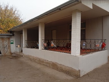 Ташкентская область, Нурафшан (Тойтепа)