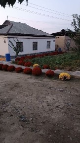 Ташкентская область, Янгиюль