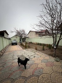 Ташкентская область, Ташкент, Мирабадский район