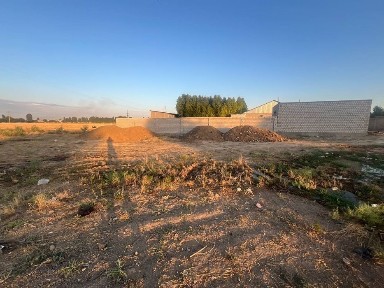 Ташкентская область, Янгиюль