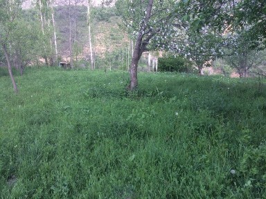 Ташкентская область, Чарвак