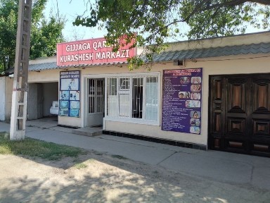 Ташкентская область, Нурафшан (Тойтепа)