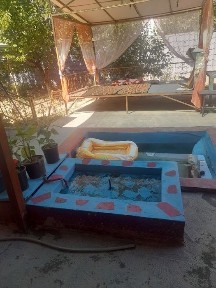 Ташкентская область, Янгибазар