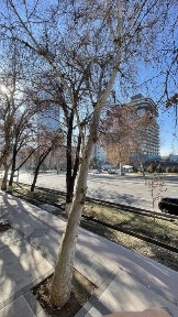 Ташкентская область, Ташкент, Яккасарайский район