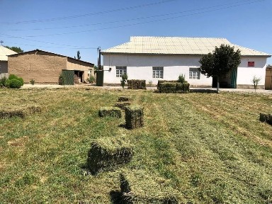 Сырдарьинская область, Хаваст