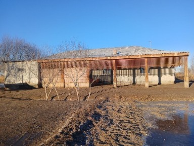 Шоманай Р/н Ташкент сапхозда