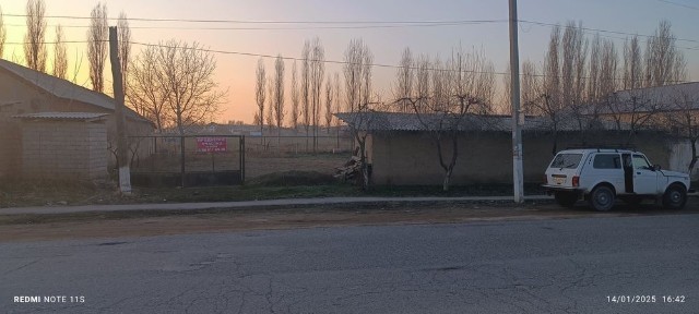 Ташкентская область, Нурафшан (Тойтепа)