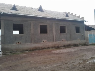 Ташкентская область, Нурафшан (Тойтепа)