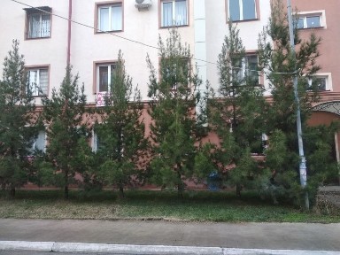 Ташкентская область, Ташкент, Мирзо-Улугбекский район