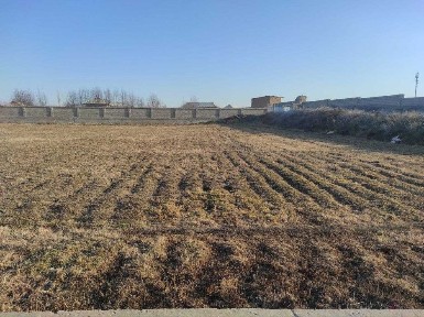 5 xonali uy hovlisi bilan, tamirtalab