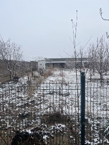 Ташкентская область, Пскент