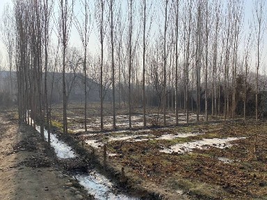 Uy sotiladi furqat tumanida 7 xona uyi bilan 16 sotik dakumenti joyida