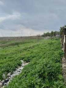 Ташкентская область, Ташкент, Яшнабадский район