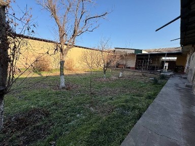 Ташкентская область, Зангиата