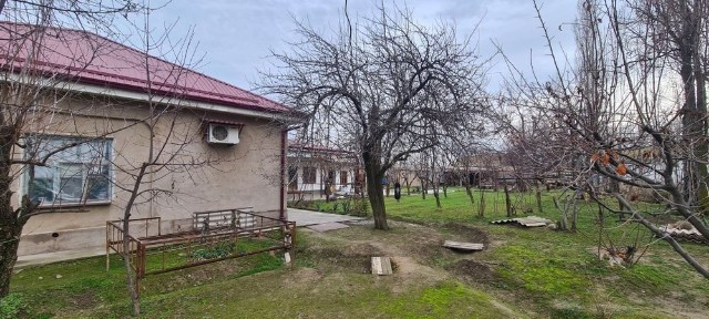 Ташкентская область, Янгибазар