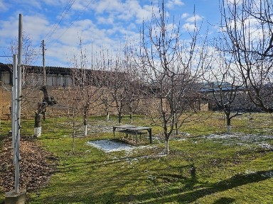 Ташкентская область, Кибрай