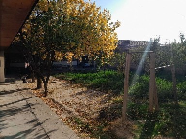 Ташкентская область, Эшангузар