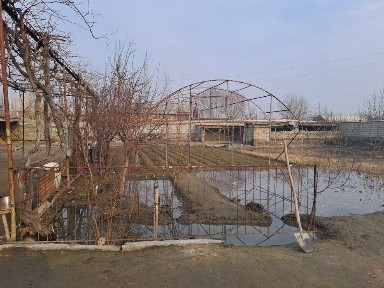 Ферганская область, Дангара