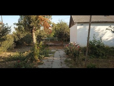 Ташкентская область, Чиназ