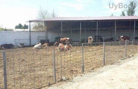 Ташкентская область, Ташкент, Чиланзарский район