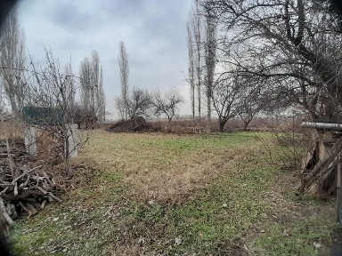 Ташкентская область, Нурафшан (Тойтепа)