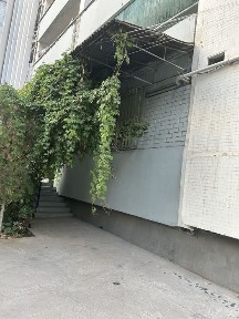 Ташкентская область, Ташкент, Яшнабадский район