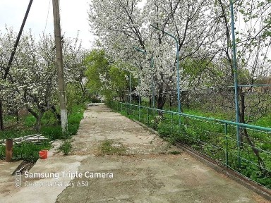 Кибрай, Ташкентская область