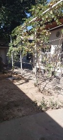 Ташкентская область, Келес