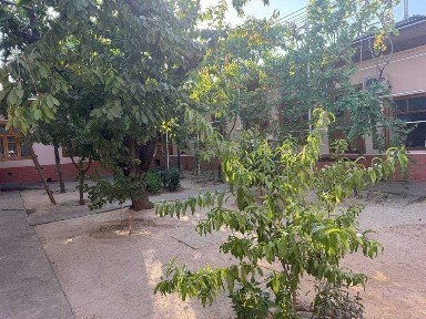 Ташкентская область, Ташкент, Шайхантахурский район