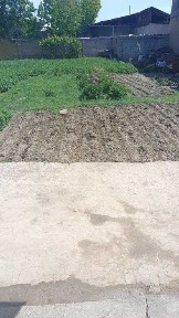 Ташкентская область, Ташкент, Алмазарский район