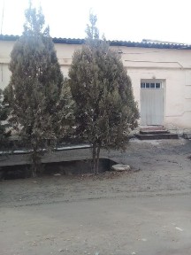 Хорезмская область, Хазарасп