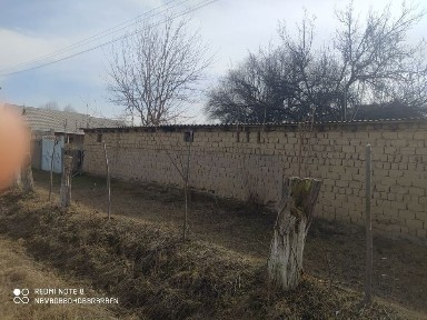 Сырдарьинская область, Бахт