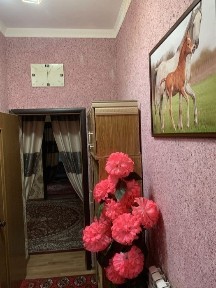 Хорезмская область, Ханка