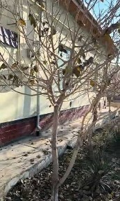 Uchquduq tumani Istiqlol massivida uglovoy kotej sotiladi