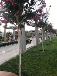 Ташкентская область, Ташкент, Шайхантахурский район