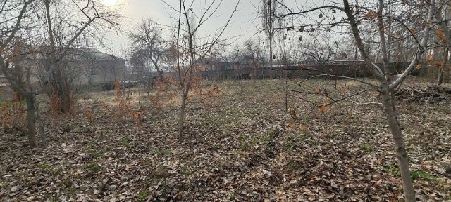 Ташкентская область, Янгибазар