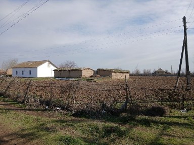 Сырдарьинская область, Сайхун