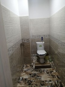 Ташкентская область, Нурафшан (Тойтепа)