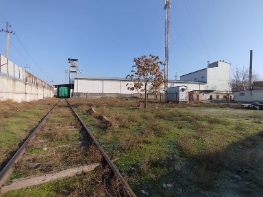 Ташкентская область, Янгиюль