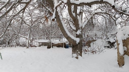 Ташкентская область, Кибрай