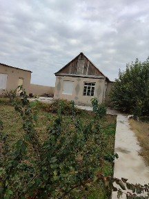 Dala hovli sotiladi dacha vasxodda boylashgan
