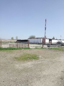 Ташкентская область, Нурафшан (Тойтепа)