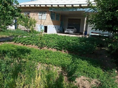 Навоийская область, Зарафшан