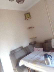 Ташкентская область, Ташкент, Мирзо-Улугбекский район