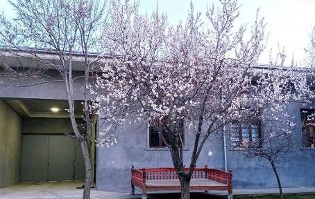 Ташкентская область, Ташкент, Алмазарский район