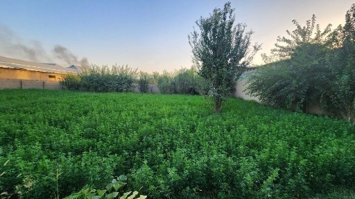 Ташкентская область, Ташкент, Юнусабадский район