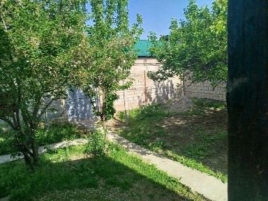 Ташкентская область, Зангиата