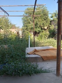 Карши, Кучкак-арик 39