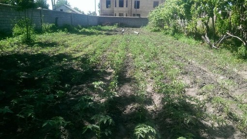 Ташкентская область, Ташкент, Мирзо-Улугбекский район