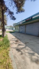 Ташкентская область, Зангиата